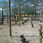 Lobateira Guest house Fernao Ferro
