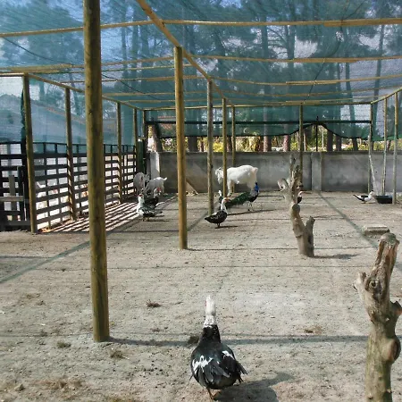 Lobateira Penzion Fernao Ferro