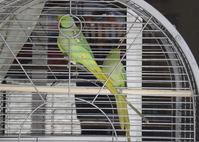 Lobateira Penzion 4*