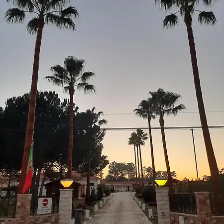 天际线别墅旅馆 招待所 *