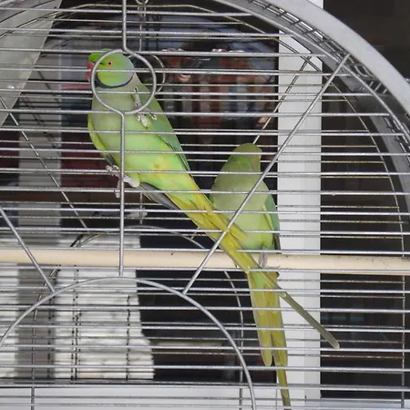 Lobateira Гостевой дом 3*